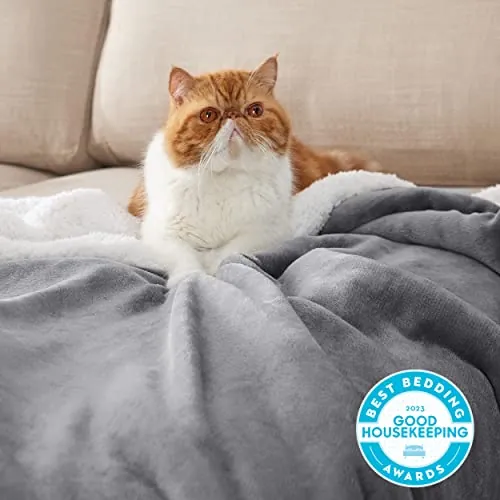 Bedsure GentleSoft Sherpa Fleece Twin Blanket Review image 4
