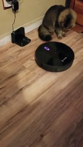 Coredy R550 Ultra Robot Vacuum Review: Cleaning & Value image 8