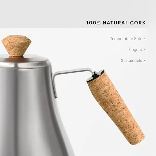 Bodum Melior Gooseneck Kettle Review: Pouring and Value image 6
