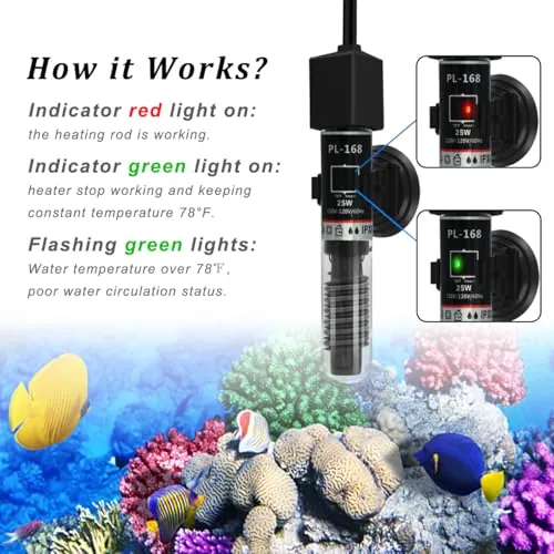 PULACO 25W Mini Aquarium Heater Review image 4