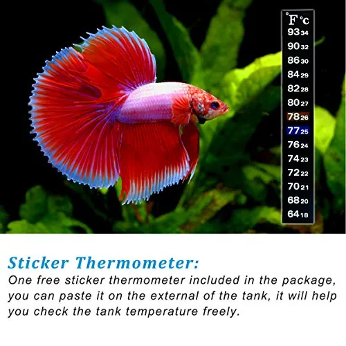 PULACO 25W Mini Aquarium Heater Review image 5