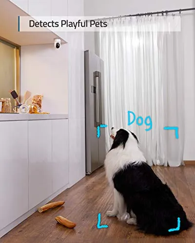 eufy Security Indoor Cam E220 2-Cam Kit Review image 3