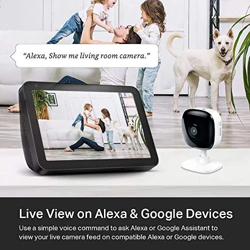 Kasa EC60 Review: Indoor Security Camera Value image 4