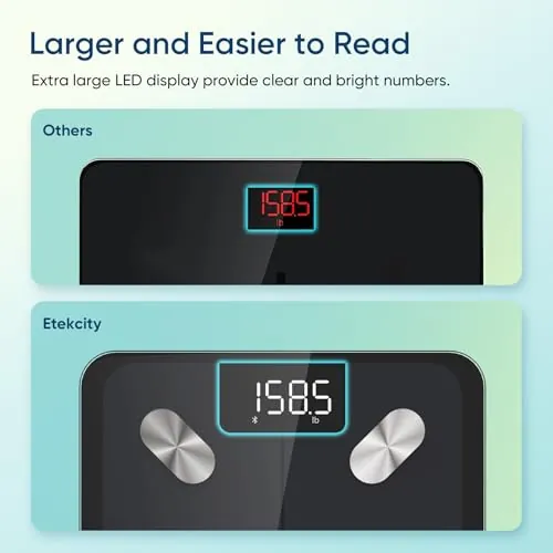 Etekcity Smart Scale Review: Accuracy, App and Value image 5
