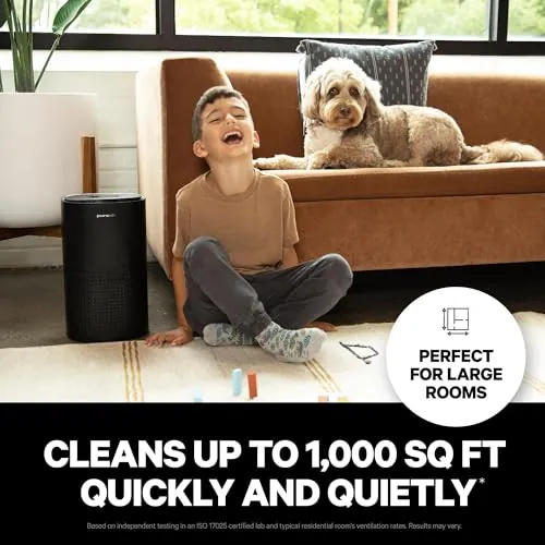PuroAir 240 Air Purifier Review: Large Room HEPA Use image 2