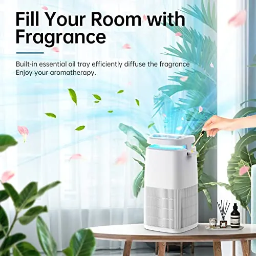 POMORON MJ002H Air Purifier Review: Features and Value image 5