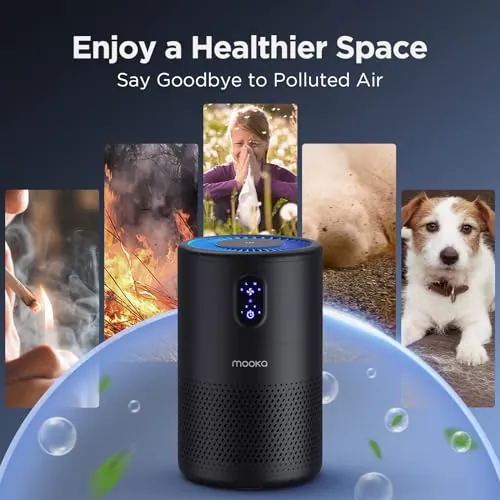 MOOKA B-D02L Air Purifier Review: Quiet HEPA Value image 6