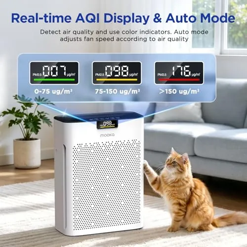 MOOKA KJ190 Air Purifier Review: Features and Value image 2