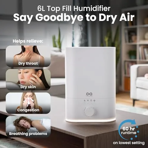 Everlasting Comfort 6L Humidifier Review: Quiet Comfort image 4