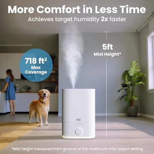 Everlasting Comfort 6L Humidifier Review: Quiet Comfort image 7