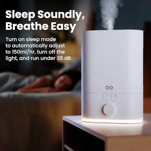 Everlasting Comfort 6L Humidifier Review: Quiet Comfort image 8