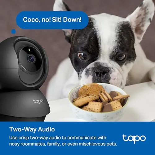 Tapo C201 Review: Indoor Security Camera Value image 7