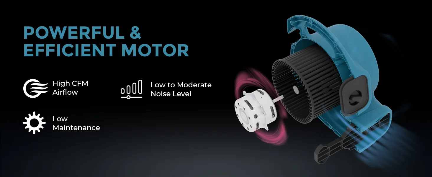 XPOWER P-80 Air Mover Review: Drying and Ventilation image 8