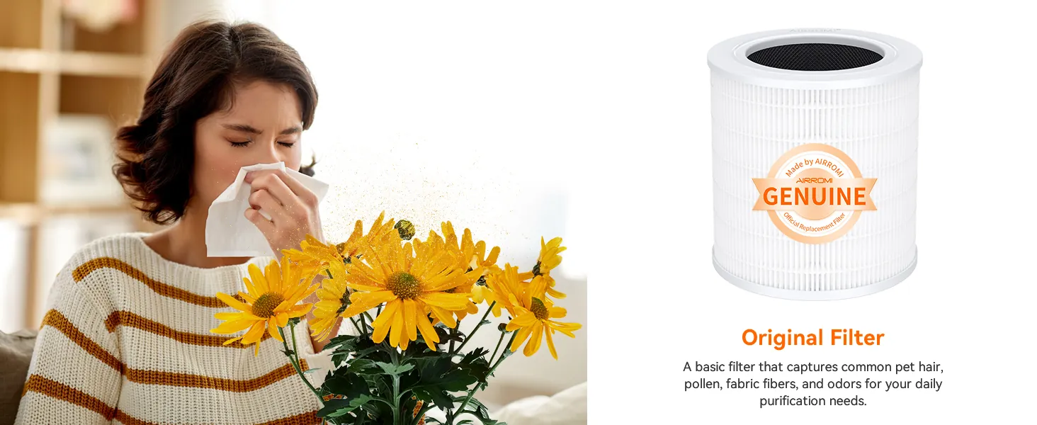 AIRROMI A2001 Air Purifier Review: Pet and Bedroom Use image 9