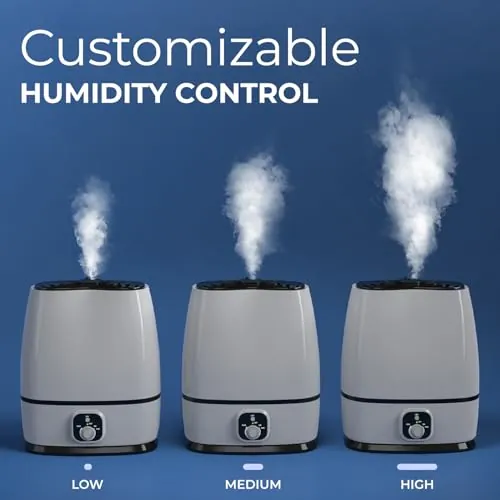 Everlasting Comfort 6L Humidifier Review image 3